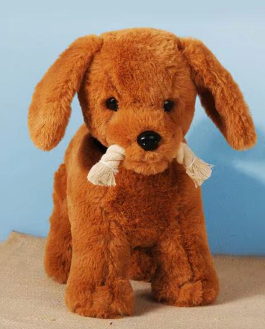 Pearls Toys Dog Huggable Teddy Bear Plush Soft Toy for Boys/Girls - 30cm