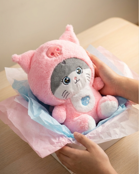 Pearls Toys Soft Kitty Plush Toy in Pink Hoodie – Adorable Hugable Pearls Toys