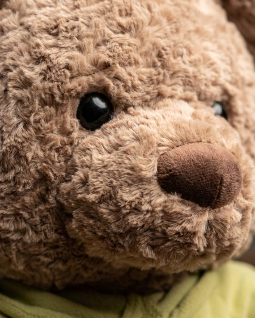 The Sage Hoodie Bear: Premium Curly-Fur Cuddle Plush (45cm)