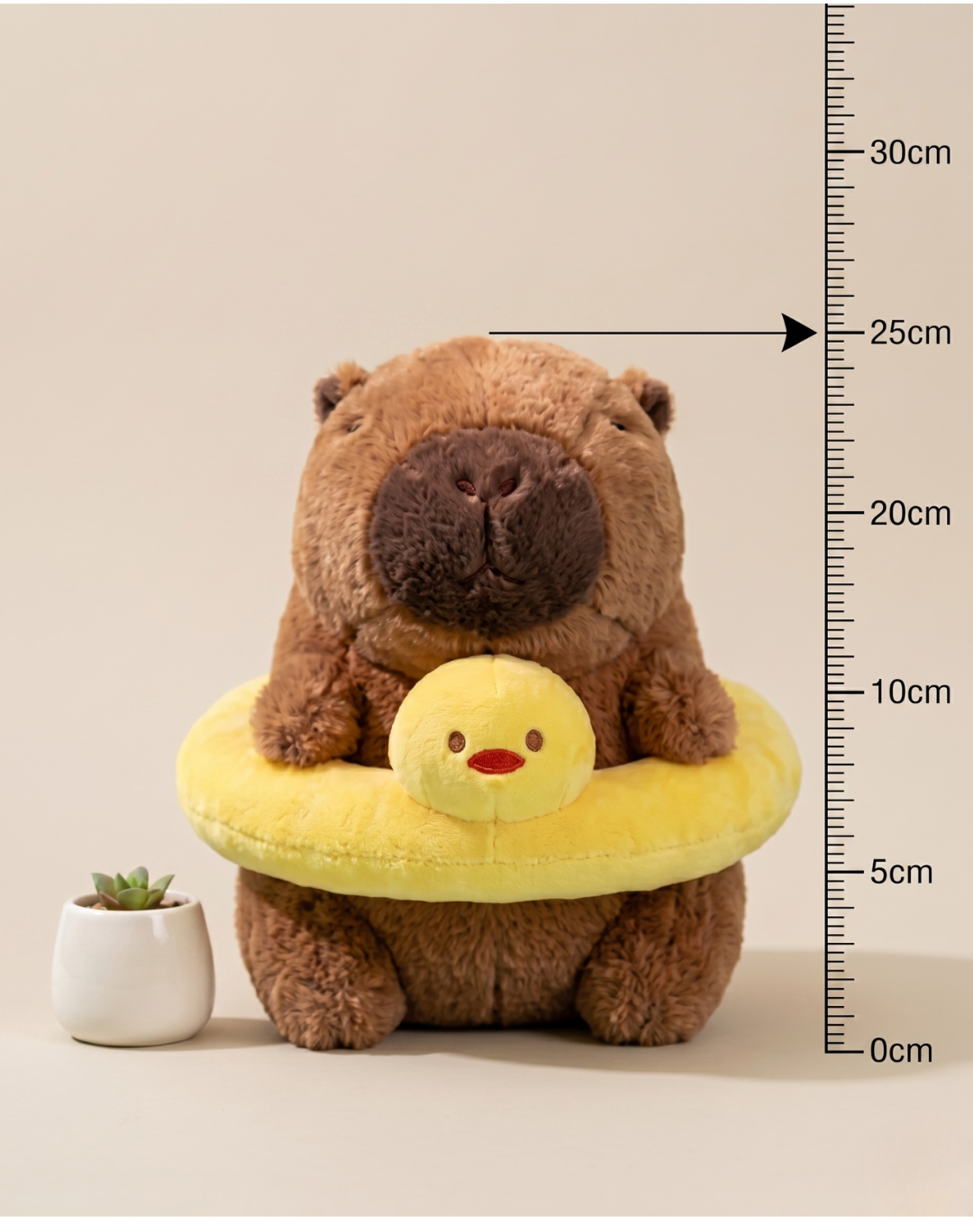 Chonky Capybara Plushie with Duckie Pool Float